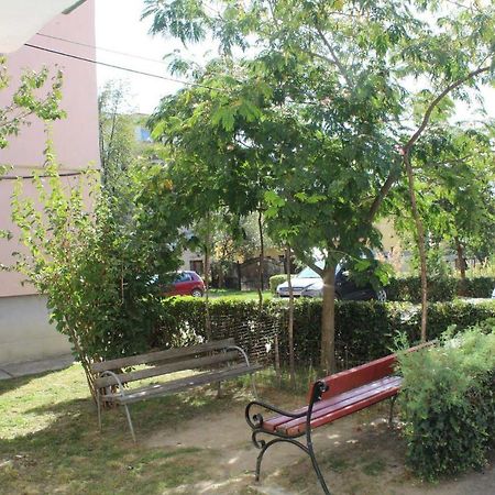 Ferienwohnung Apartament Anca Tîrgu Ocna Exterior foto